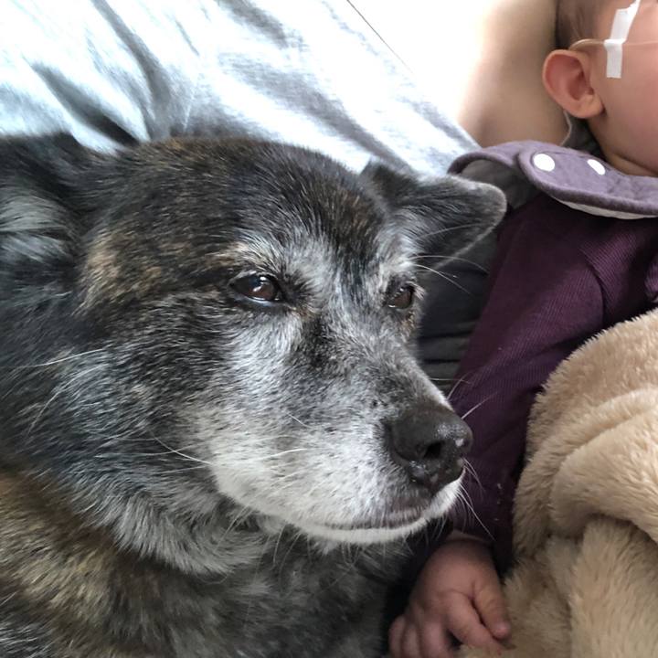 F0633c74 6868 4039 9e0f 2b003645f1cf 1706176427057