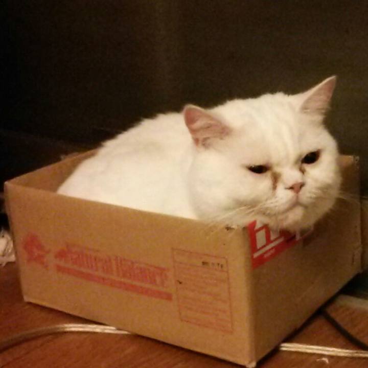 F0634607 1637 43cc 8118 446868c03548 1537915598427