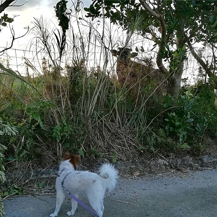 F063716b 0d58 417a a4e7 1d289de94648 1570198843875