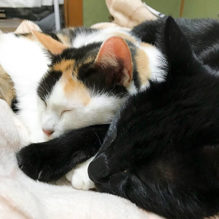 F063882a 6d46 4e5b ae48 84e8a3c200ee 1512003312254