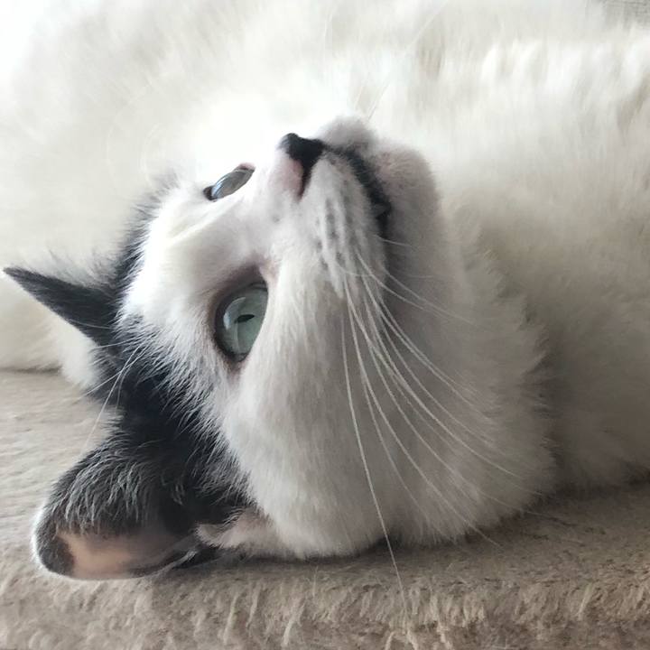 F0639b7f fea3 47a2 986f 11c3bc662627 1544846033181