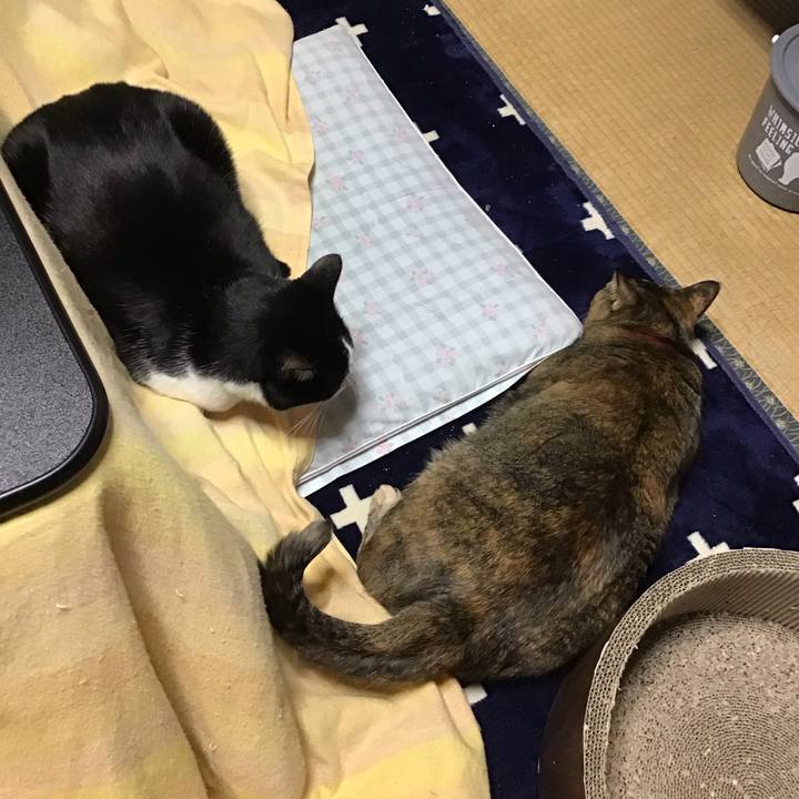 F063bb79 dec0 477b 816e 332277391a46 1708300260446