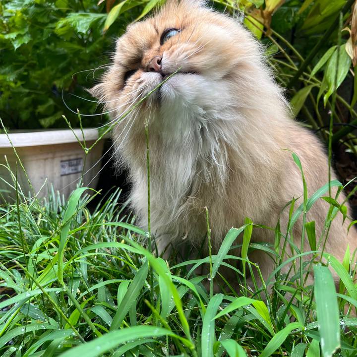 F063bd47 bd4e 4c83 8cc9 5c3aa782980a 1754908928534