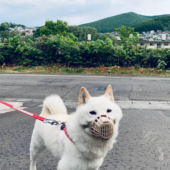 F063beaf fda4 4b92 8d00 242123593586 1592253709410