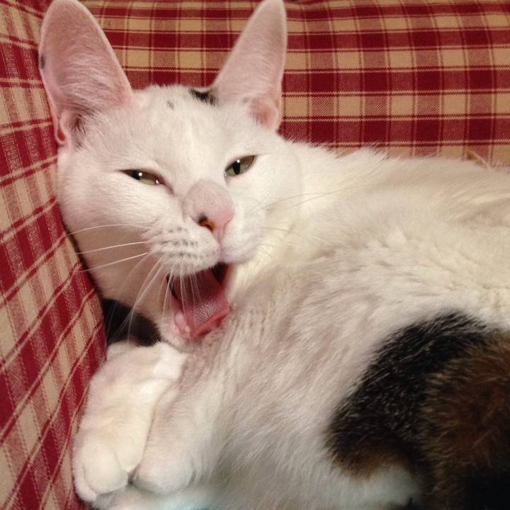 F063e8d4 1ee4 4007 af0b 5d235de1b43f 1514547760582