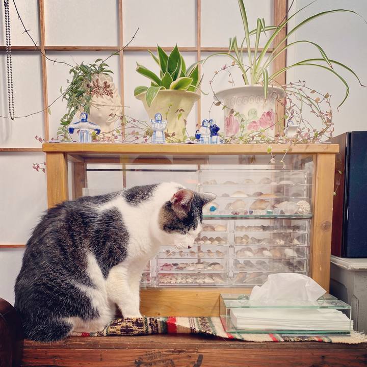 F063f050 24e1 4da3 a705 ee45755e207a 1580539272782