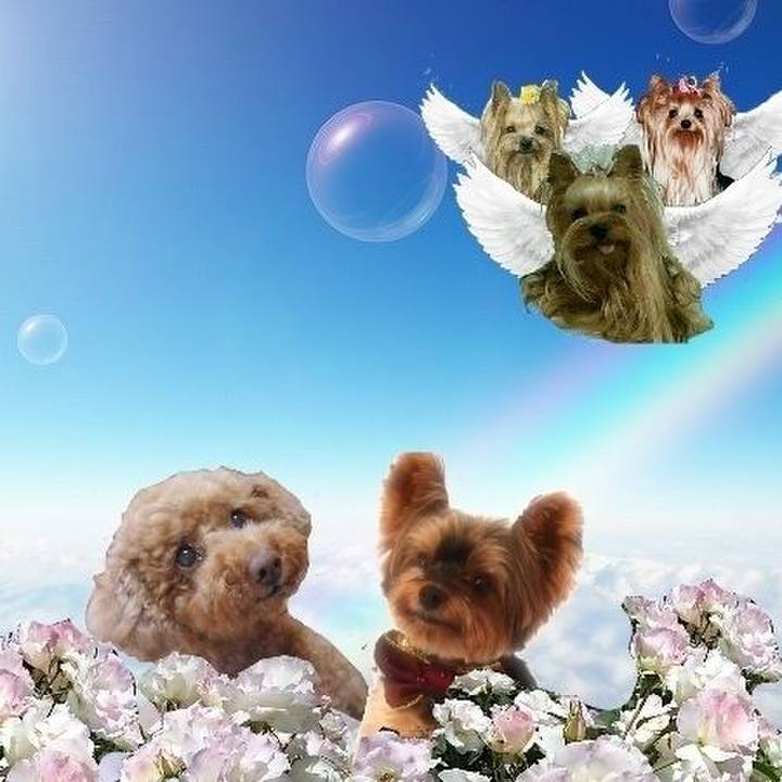 F06412e6 98a4 473f 89bf 99a53e4d91e9 1677627719936