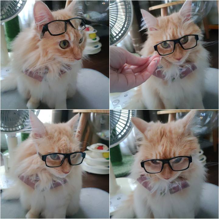 F06421a9 0fd6 4945 a74e 8010064d6586 1721550911005