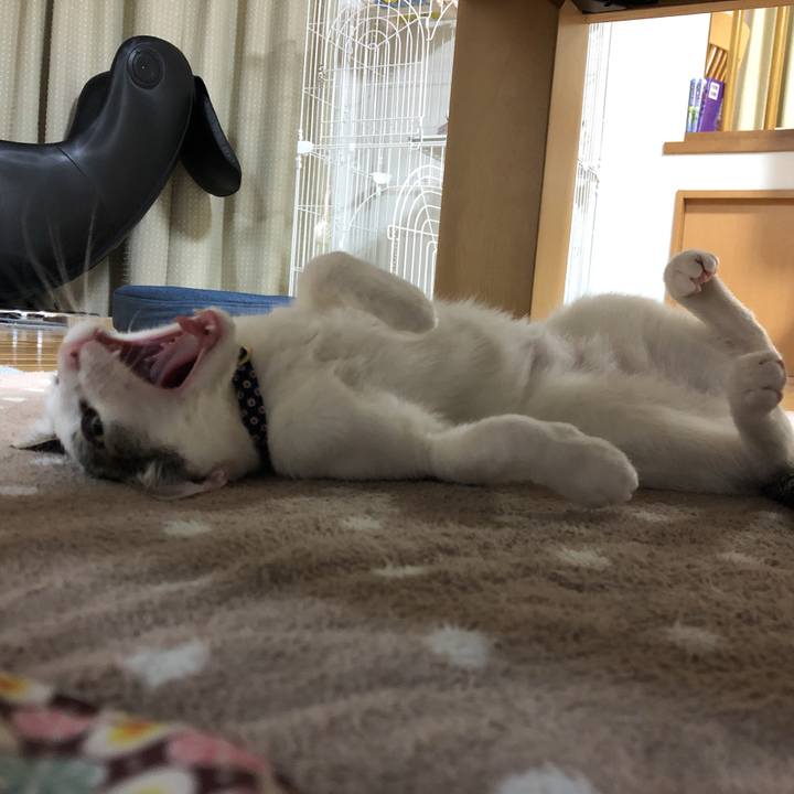 F0646de2 6fd9 4382 9048 3d324e9e32b8 1576667214118