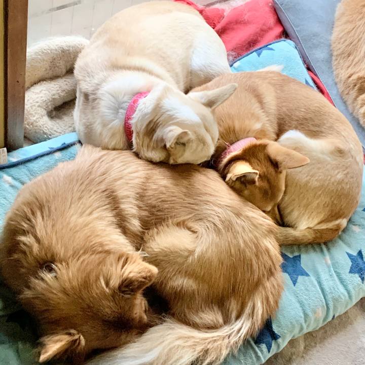 F0648e76 e8e1 4711 b709 a5e198d6e5f2 1581131816718