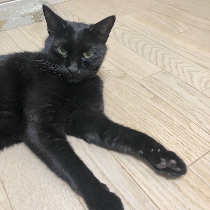 F064daec e94f 4493 8be5 9b0f0bfc48e8 1606654501092