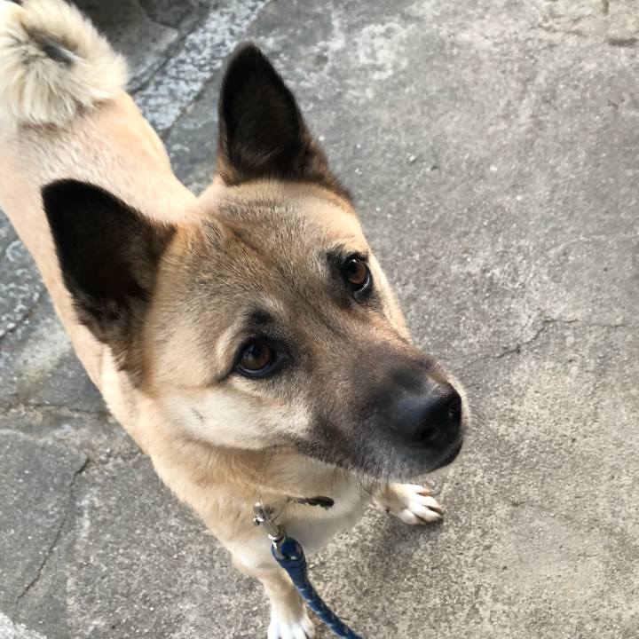 F064f248 a749 4ce3 8a72 fd99d7c3c775 1612785279633