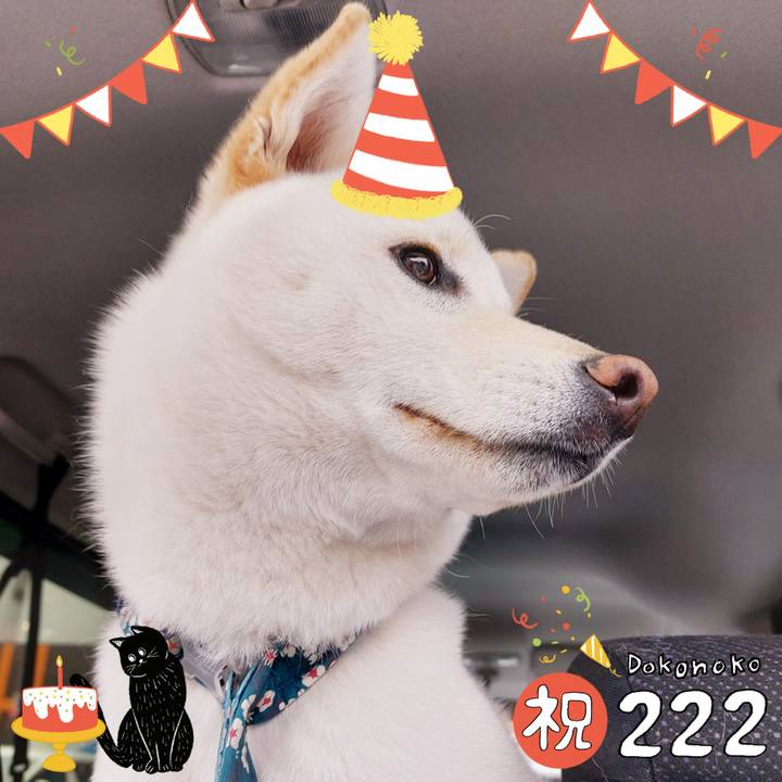 F064f30a dcc2 43f5 9adb b2b1316547b5 1645507312243