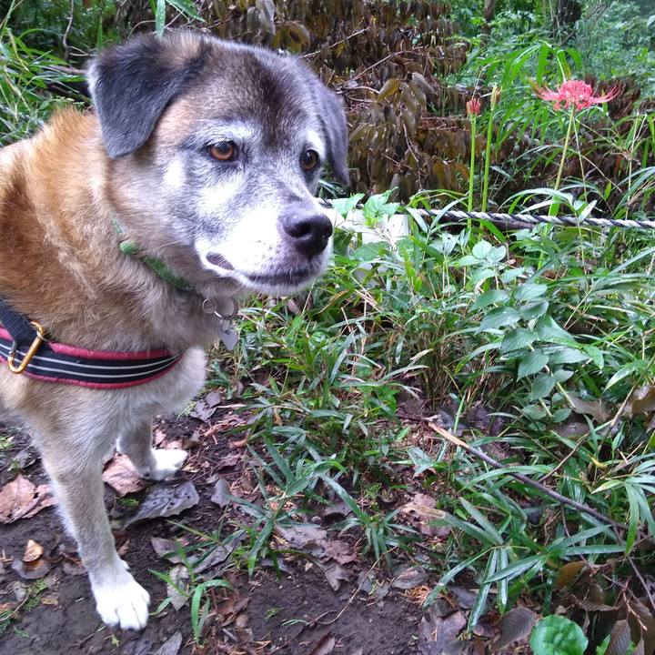 F064f8ae 020e 4c64 9fe1 60b2c1e800f9 1568850211945