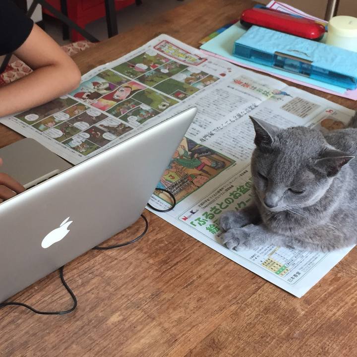 F06509f2 f27f 44a0 b389 f162ab8fbf88 1566774797736