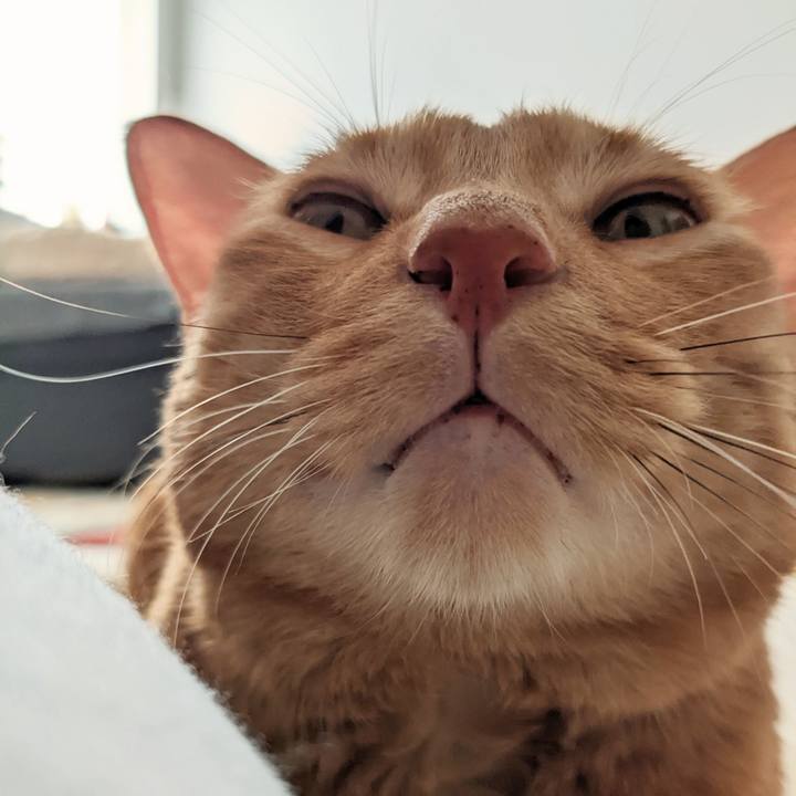 F0650bb1 7b2e 40aa a56d dc9e95d7ae22 1662003057525