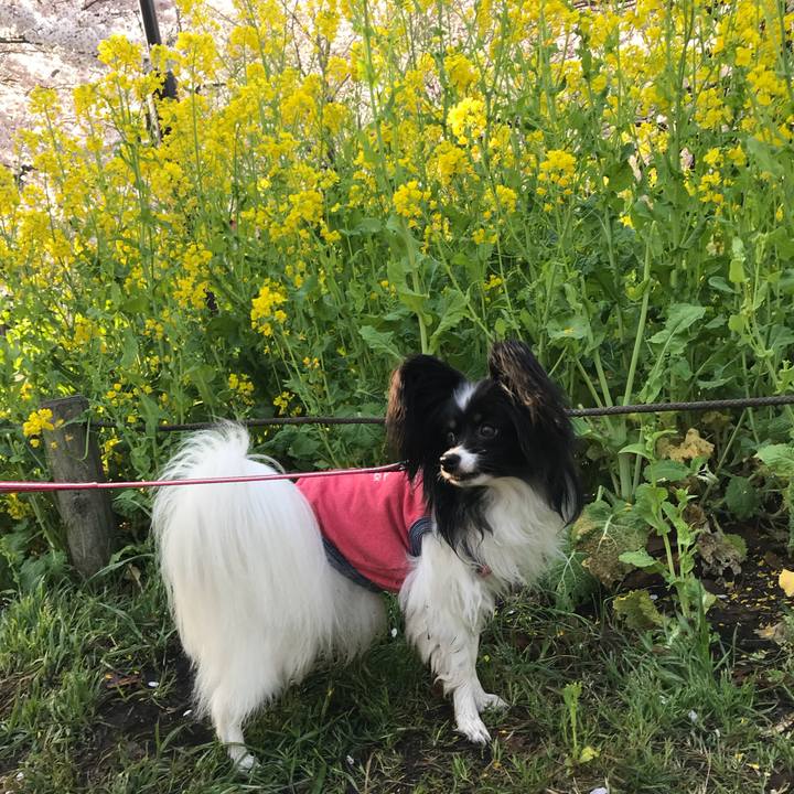 F0654174 eb7f 4f95 aaa2 218ed2a26dcd 1522292588649