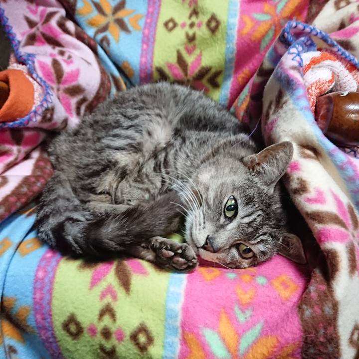 F065425b 74f7 4a15 a450 6e62bd4500bb 1585385870771