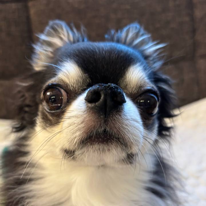 F0655b08 f67a 44da b70f 81a8ffd56d13 1748646460101