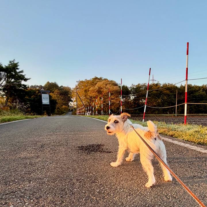 F065a0ae 031a 4184 8ee1 26eda6cc458e 1761400115814