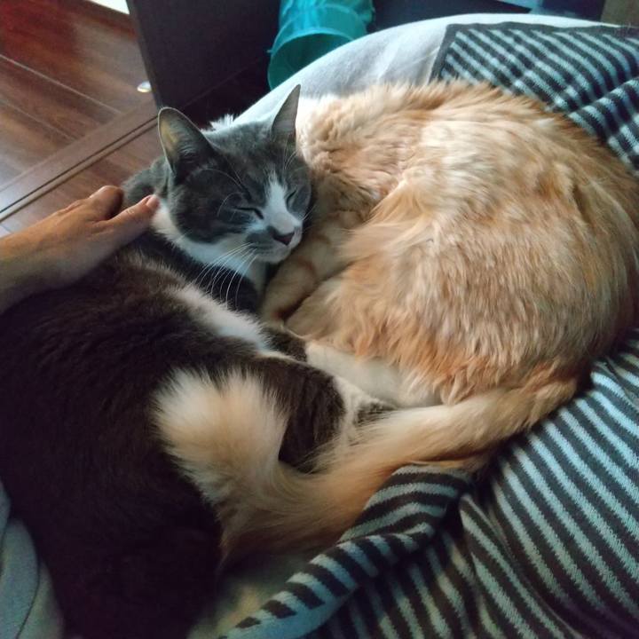 F065c42f 5179 4ab0 91aa db3b9ba5239a 1641001122916