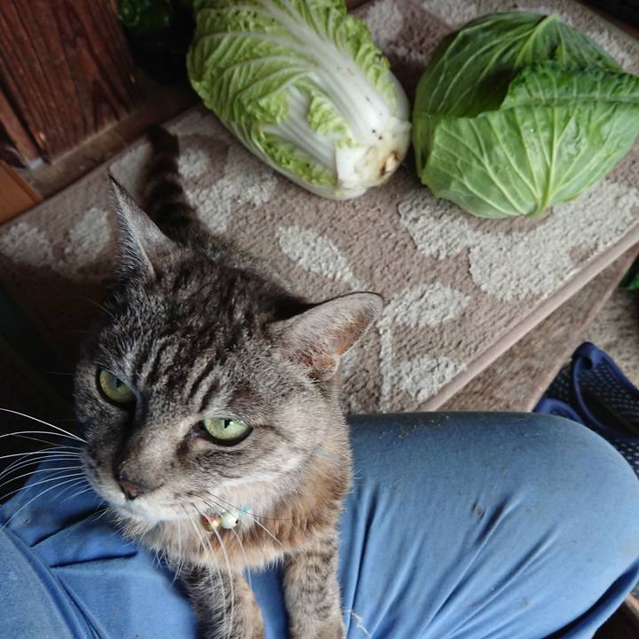 F0665076 6724 4181 8910 50c08b2949a6 1571025012059