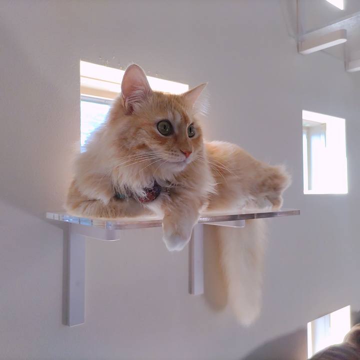 F066aca3 ad83 4dad 977a 4958f70ee633 1658715979829