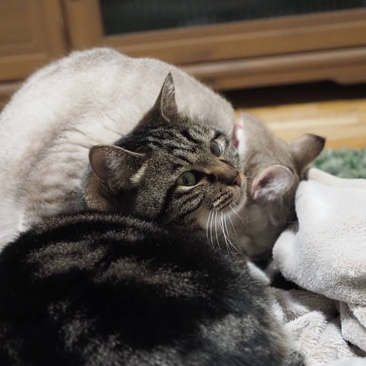 F066f3b0 d316 4d22 94a6 49e32dbc5f3c 1612016963572