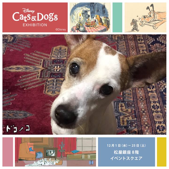 F06702e3 e2f2 472d a28e a0b313a09313 1638543465509