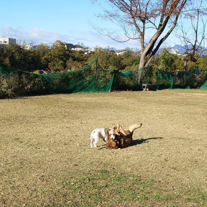 F0670706 2a03 4666 97ba de5047211413 1733023618909