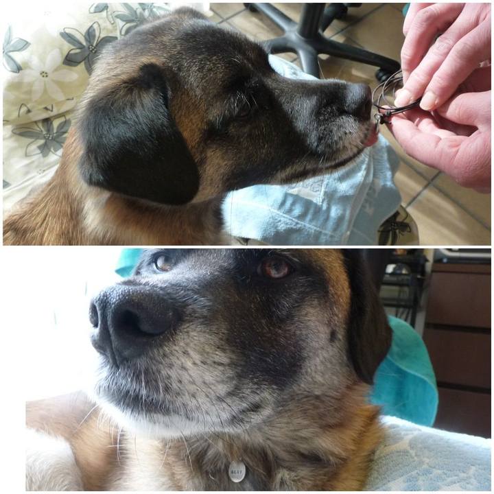 F0670ea6 7bda 46e1 bee0 707fbee9610d 1577663655432