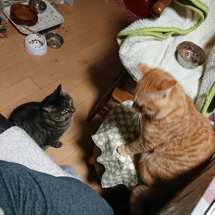 F067520c 4d61 43c8 91db 97af4aea4e18 1642108574258