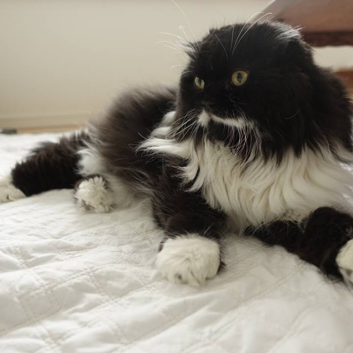 F06783de 64df 4df5 b180 414051052bc3 1520782700497