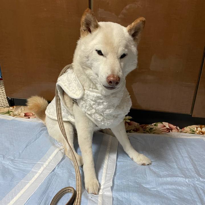 F0678c63 4ef7 4b6e 837b cfd9db95d6e8 1638703997437