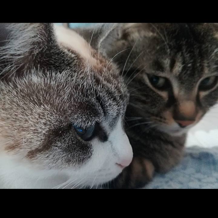 F0678f62 a0a6 42a6 8b04 2bb75d9dca98 1520695248974