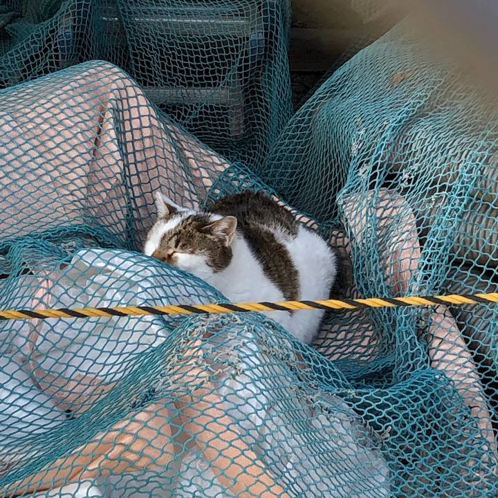 F0678f79 cf9a 4323 89b7 0af4e1fd0442 1548119025585