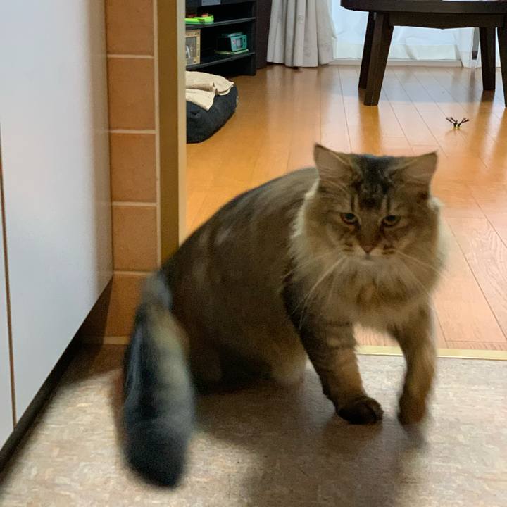 F067aa64 ff82 4b35 b803 d6e9e75d453a 1757025161392