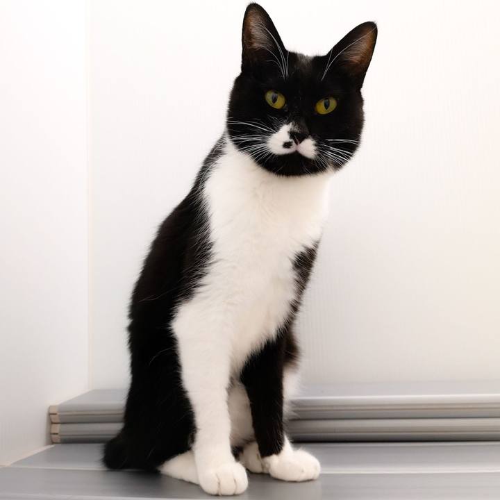 F067bdb1 8c78 4af5 a7e3 20ca16e3d66a 1548693129630