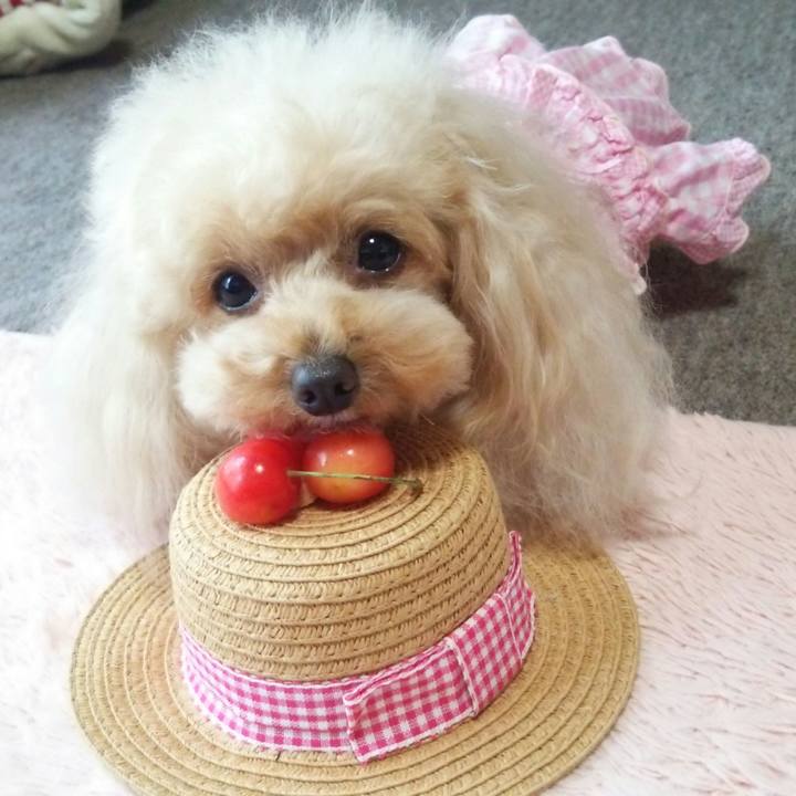 F06826c4 68fb 4881 bafc 3995e02eac03 1561553911713