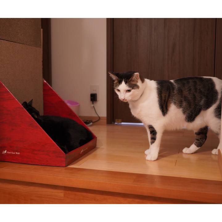 F0682f64 407b 40df 87b5 1c77a6bf5d3d 1593090443354