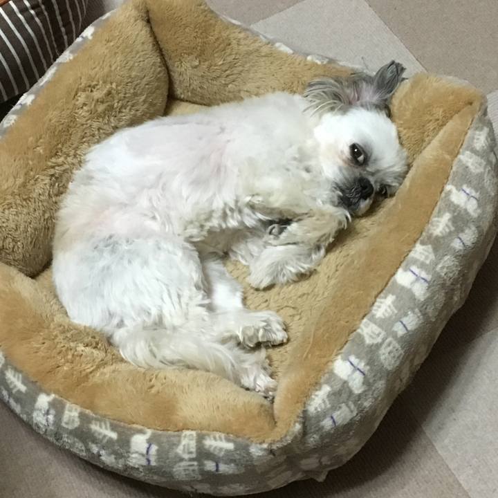 F0682fdd 22c5 46e6 9102 3f3581b42c2e 1517272980606