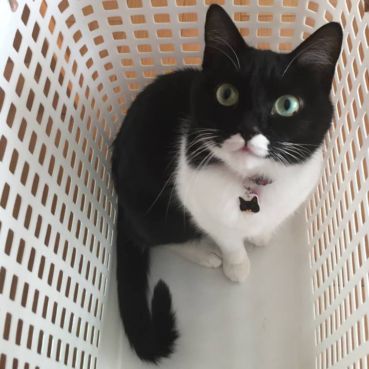 F06870d8 11ea 474a beb9 faaf7d775d03 1542591004822