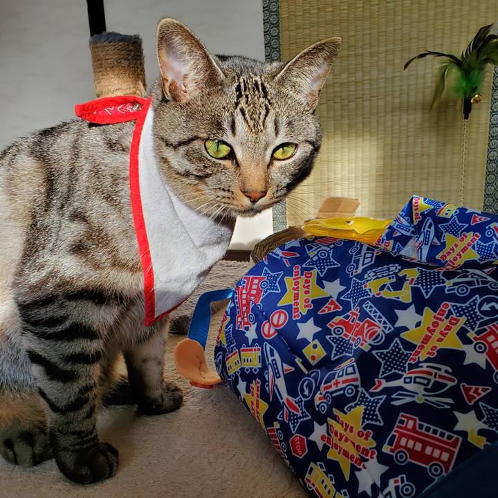 F06883a0 6551 4f42 9237 e9e8c604f8a4 1700671063818