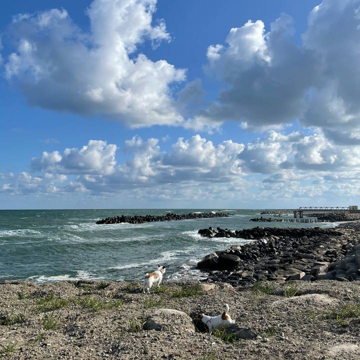 F0688a1f 6726 4beb b929 d125acf323c9 1619393575445