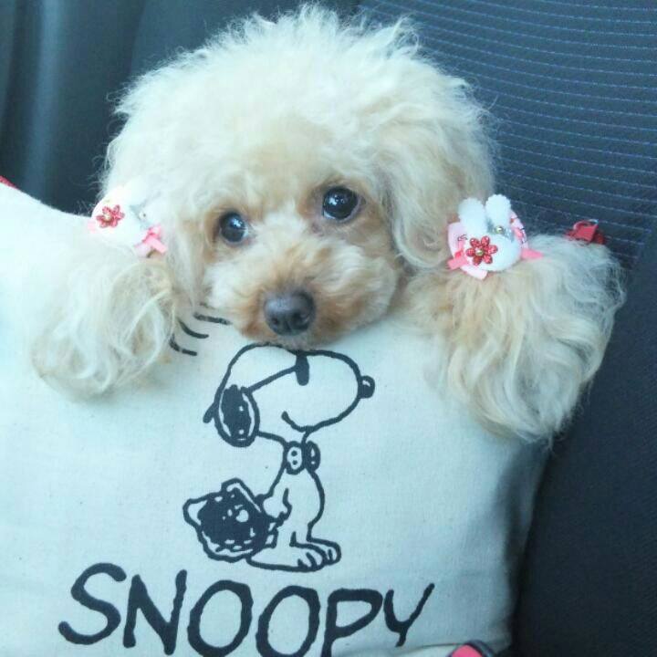 F068c042 bd87 4d90 80a9 b33d7f6039f2 1514967832154