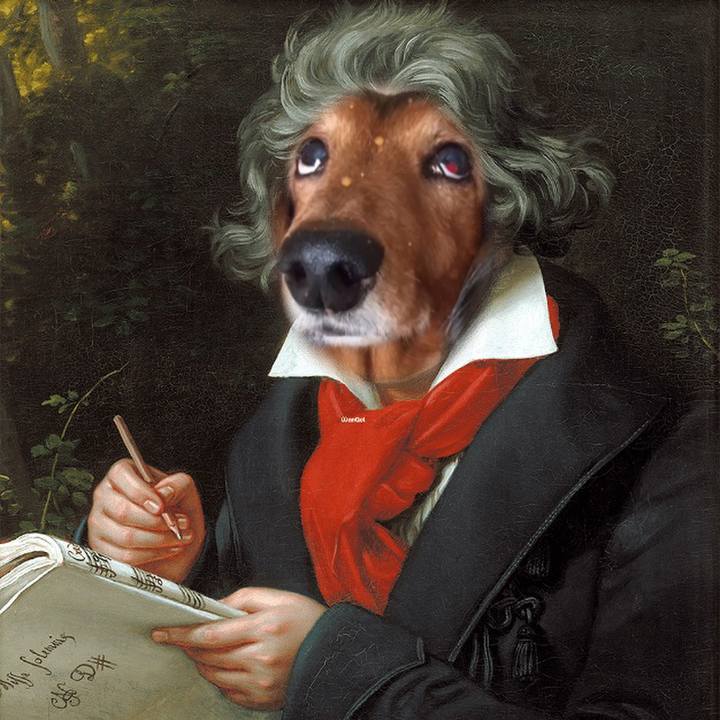 F0690121 9f5f 4479 a445 afe3b4e75ab1 1635895579007