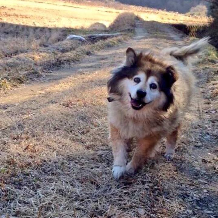 F0692c23 a48f 48ae 83ef b07bc894a5e4 1567849529988