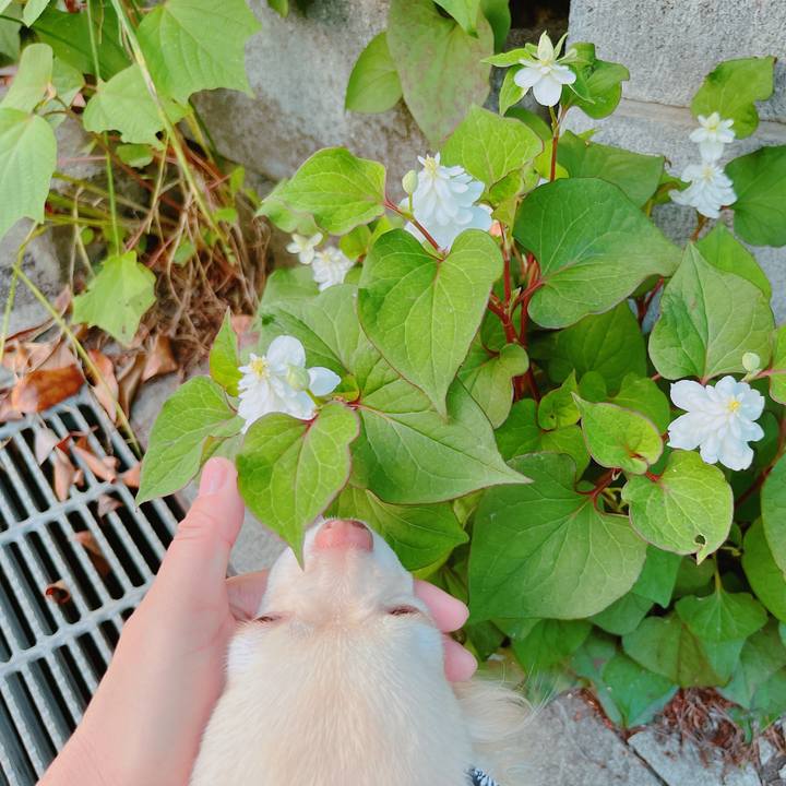 F0694bf0 2125 4385 8a8a a08fccb6cf70 1653304546874