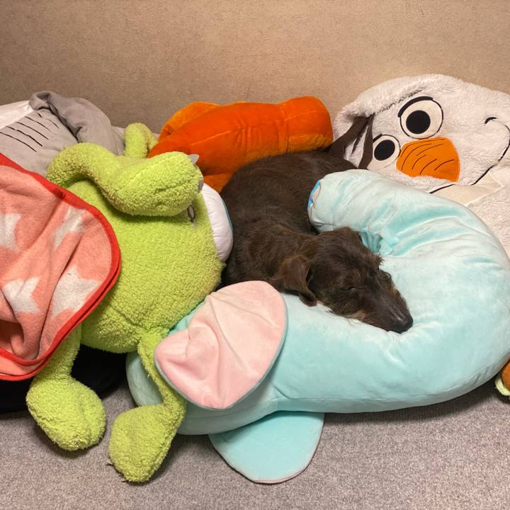 F0695d7b 81c9 4bc2 8d11 0b467c5d8854 1619366216274