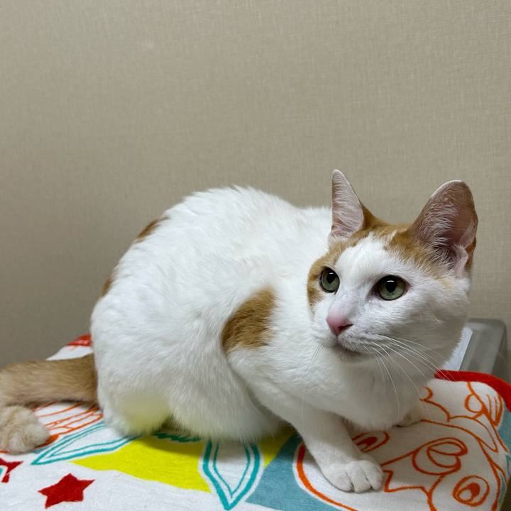 F06968ac 7221 4846 bf00 b5cb4b1e6ec6 1688348528138